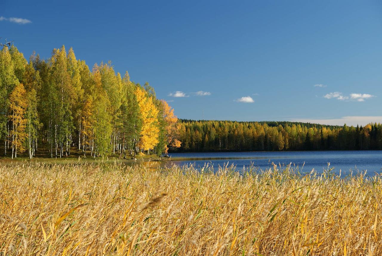 Ik Hotel & Camping Кеуруу Экстерьер фото